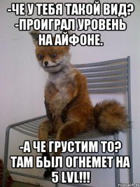 -Че у тебя такой вид? -проиграл уровень на айфоне. -а че грустим то? там был огнемет на 5 Lvl!!!