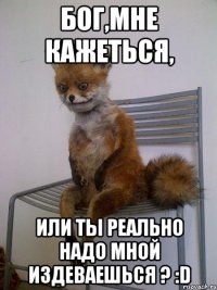 Бог,мне кажеться, или ты реально надо мной издеваешься ? :D