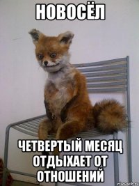 новосёл четвертый месяц отдыхает от отношений