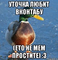 уточка любит вконтабу (ето не мем простите) :3