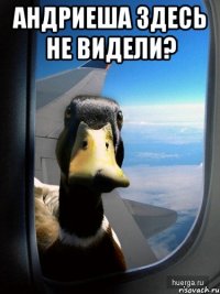 Андриеша здесь не видели? 