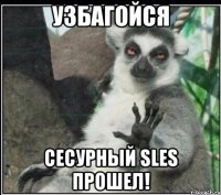 Узбагойся Сесурный SLES прошел!