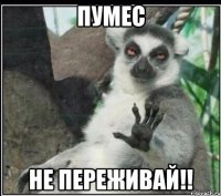 ПУМЕС НЕ ПЕРЕЖИВАЙ!!