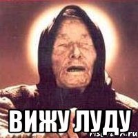  вижу луду