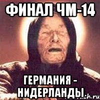 Финал ЧМ-14 Германия - Нидерланды