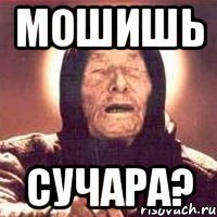 мошишь сучара?