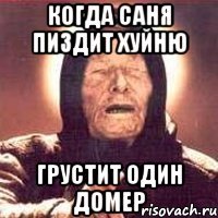 когда саня пиздит хуйню грустит один домер