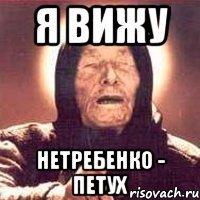 я вижу нетребенко - петух
