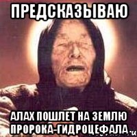 предсказываю Алах пошлет на землю пророка-гидроцефала