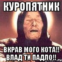 Куропятник Вкрав мого кота!! Влад ти падло!!