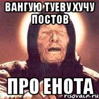 Вангую туеву хучу постов про енота