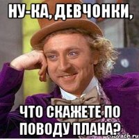 ну-ка, девчонки, что скажете по поводу плана?