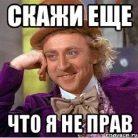 скажи еще что я не прав