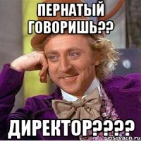 Пернатый говоришь?? Директор????