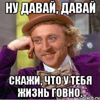 Ну давай, давай скажи, что у тебя жизнь говно.