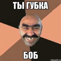 ТЫ ГУБКА БОБ