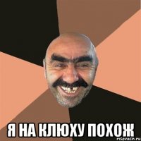  Я на клюху похож