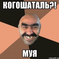 КОГОШАТАЛЬ?! МУЯ