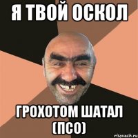 Я твой оскол грохотом шатал (ПСО)