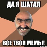 да я шатал все твои мемы!