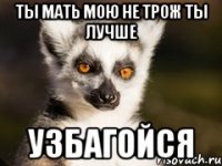 ТЫ мать мою не трож ты лучше УЗБАГОЙСЯ