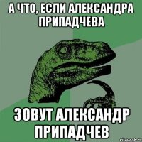 А что, если Александра Припадчева Зовут Александр Припадчев