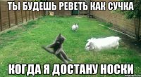 Ты будешь реветь как сучка когда я достану носки
