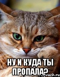  ну и куда ты пропала?