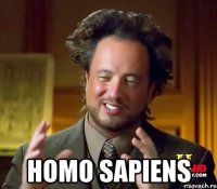  homo sapiens