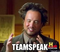  TeamSpeak