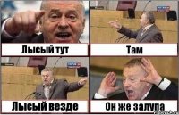 Лысый тут Там Лысый везде Он же залупа