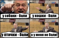 у собаки - бали у кошки - бали у птички - бали а у меня не бали!