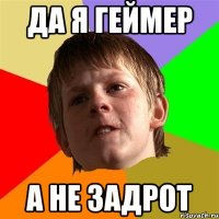 да я геймер а не задрот