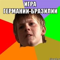 игра Германии-Бразилии 