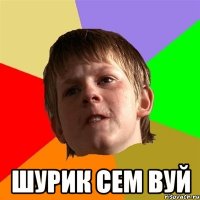  Шурик сем вуй