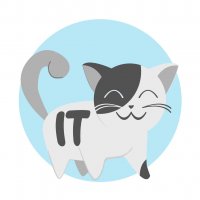 после правок код не меняется он мутирует, Мем IT-Кот