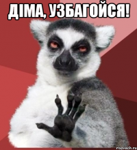 Діма, узбагойся! 