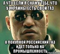 А что если я скажу тебе, что у Украины есть свой газ А покупной российский газ идет только на промышленность