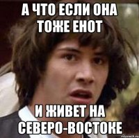а что если она тоже енот и живет на северо-востоке