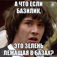 А что если базилик, Это зелень лежащая в базах?
