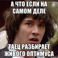 А что если на самом деле таец разбирает живого Оптимуса