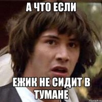 а что если ежик не сидит в тумане