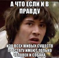 А что если и в правду Изо всех живых существ простату имеют только человек и собака.