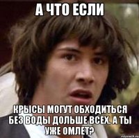 а что если Крысы могут обходиться без воды дольше всех. А ты уже омлет?
