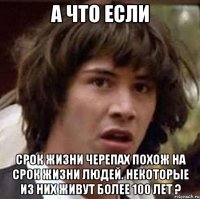 а что если Срок жизни черепах похож на срок жизни людей. Некоторые из них живут более 100 лет ?
