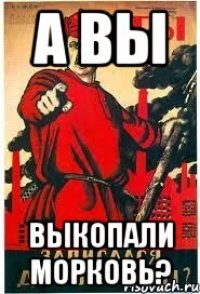а вы выкопали морковь?