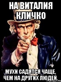 На Виталия Кличко мухи садятся чаще, чем на других людей.