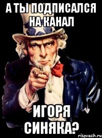 а ты подписался на канал игоря синяка?