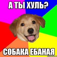 А ТЫ ХУЛЬ? СОБАКА ЕБАНАЯ