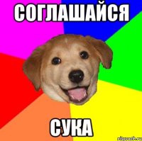 соглашайся сука